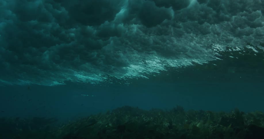 Sunlight is shining into the ocean water