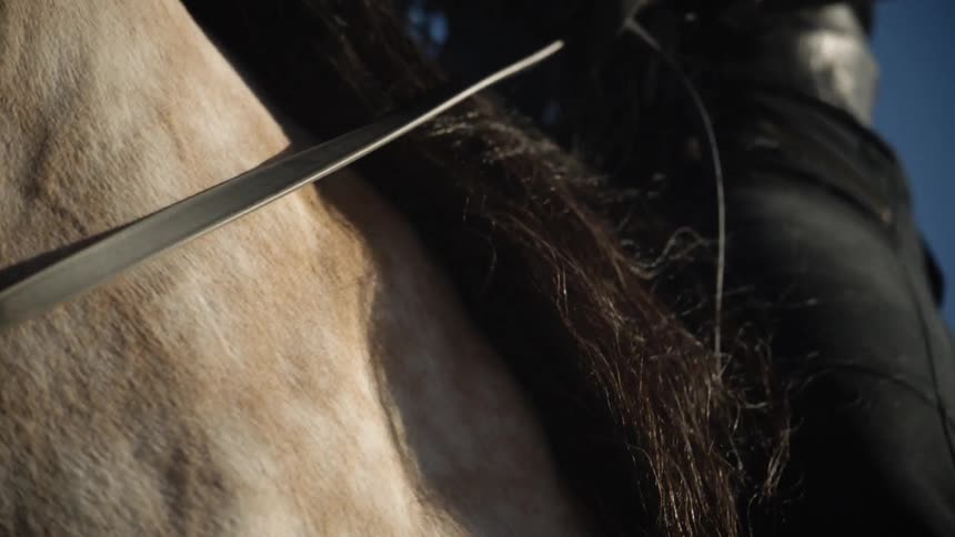 Close up view of a person riding a horse is displayed