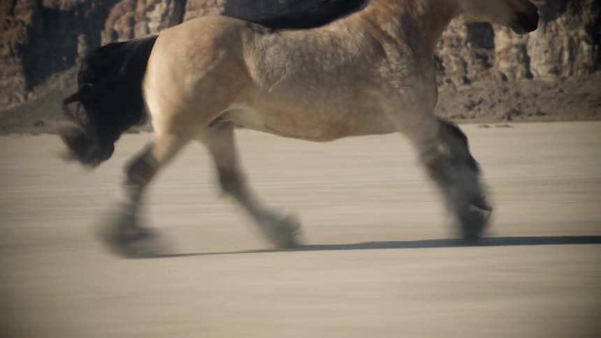 A tan horse with black hair running through the desert with mountains in the background