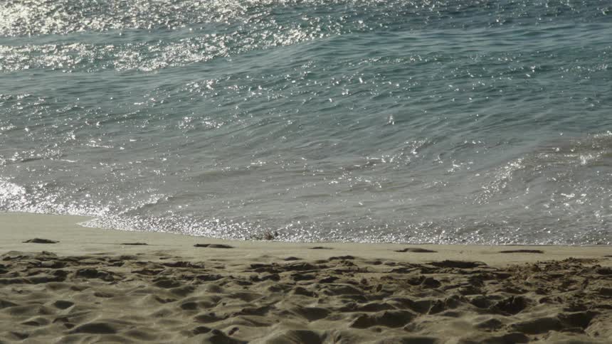 Ocean waves break against the beach on a sunny day