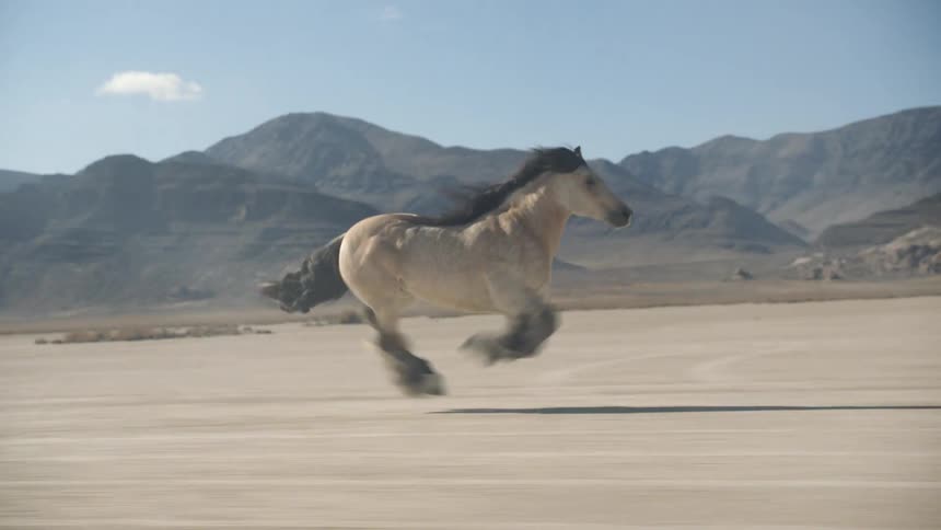 A muscular horse galloping across a dirt field in a desert