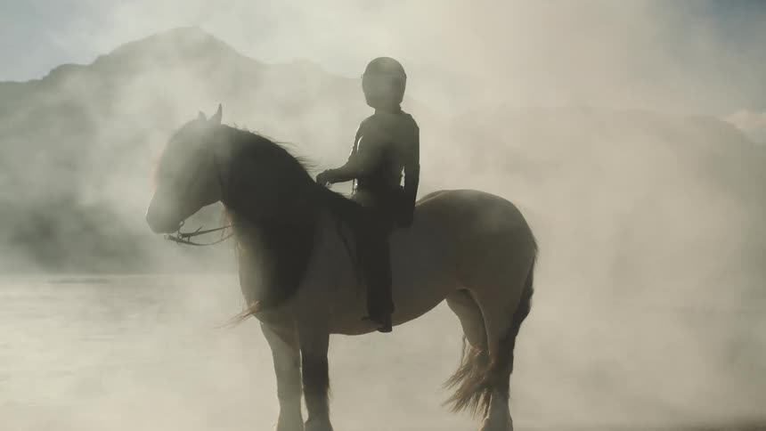 A rider wearing a helmet with visor sitting on a horse as fog rolls past