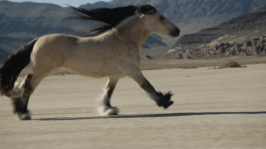 A dun horse is running across the desert and there are mountains in the distance