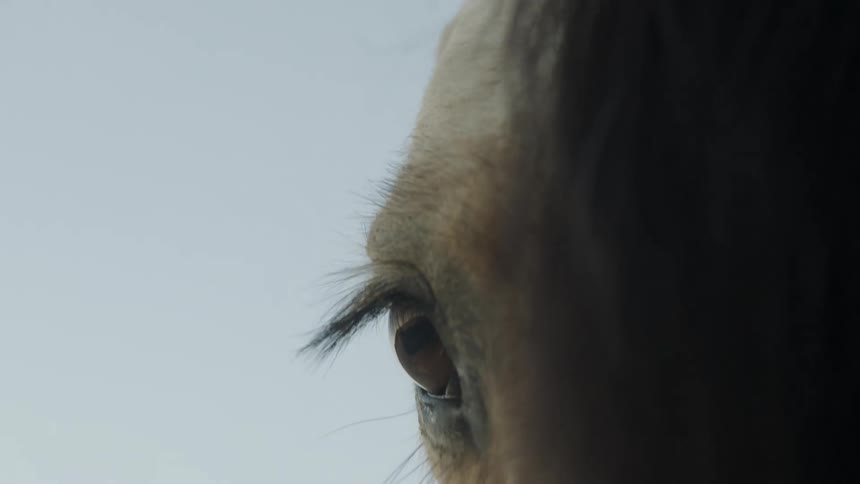 A horse blinks with its mane draped over its forehead