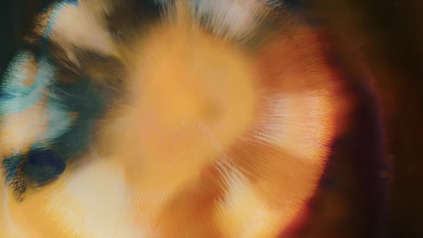 Flowing golden liquid forming an abstract pattern