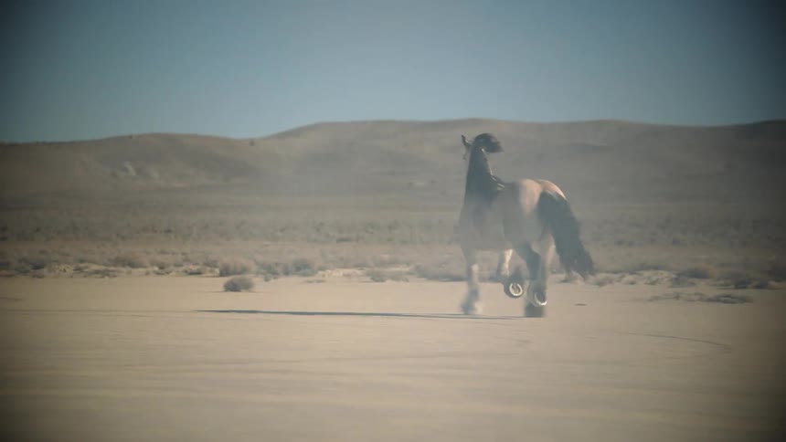 A white horse with black mane and tail galloping through a dusty desert area