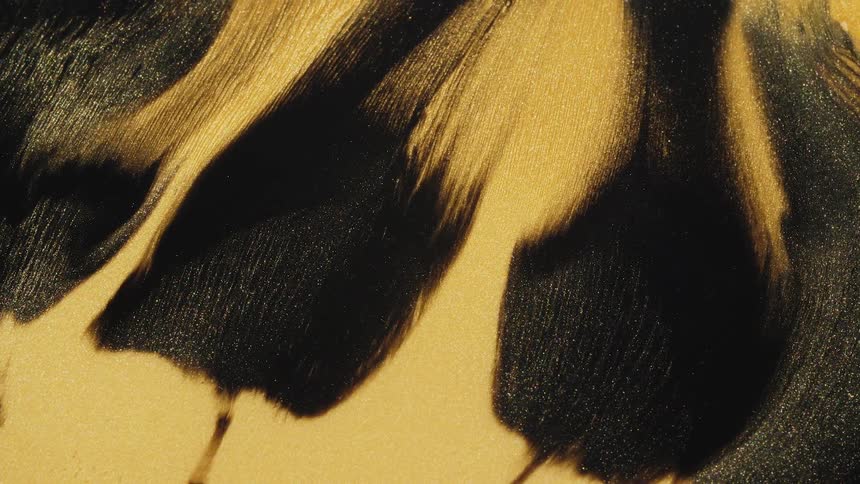 Abstract black liquid flows down on golden background