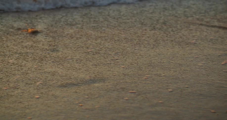 Landscape of ocean wave breaking against beach at sunset
