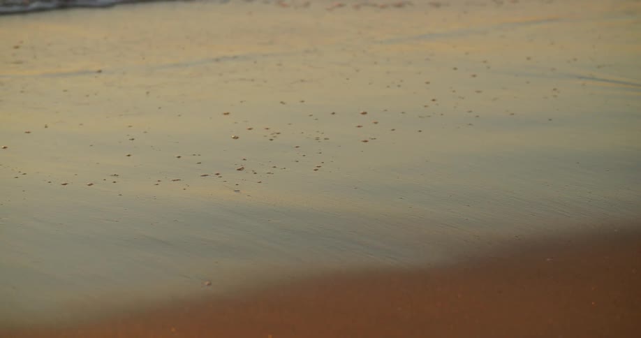Ocean waves washing ashore a sandy beach at sunset