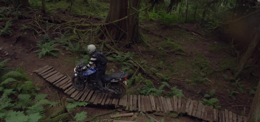 Motorcyclist riding over a wooden plank trail in the wilderness