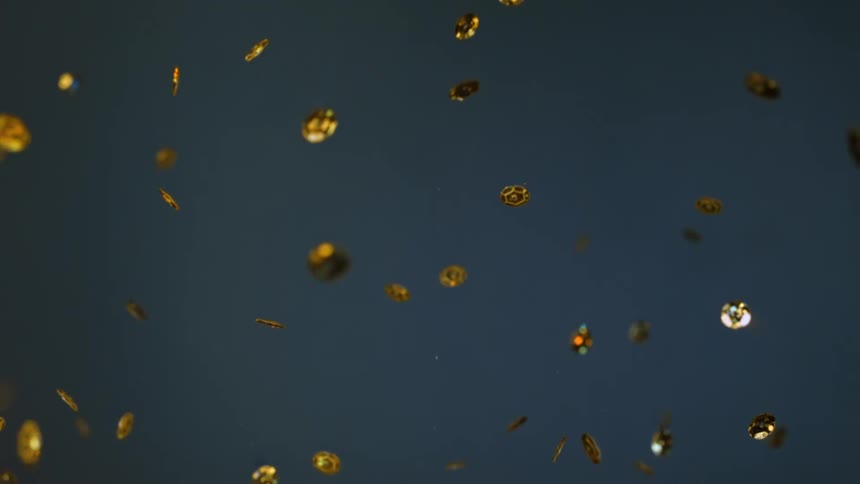 Shiny gold coins spin and turn as they fly up into the air and fall back down