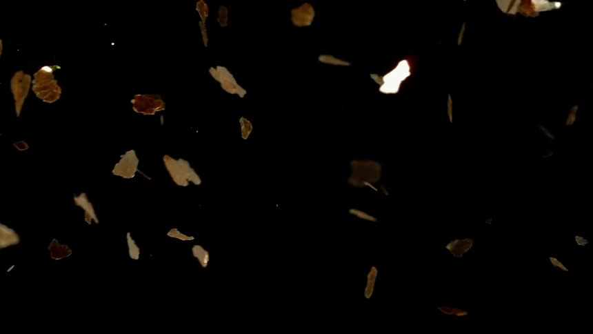 Golden Confetti is floating on black background crossing the frame