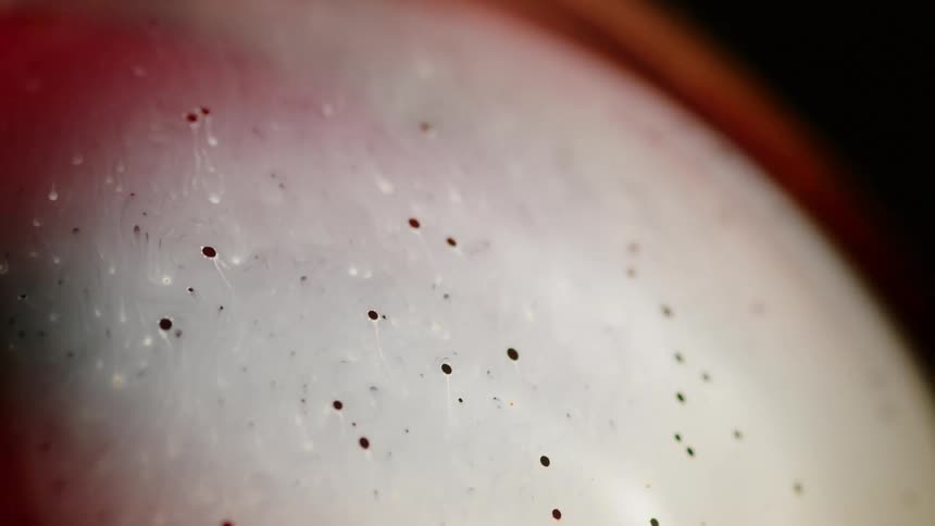 Abstract footage of liquid gel moving
