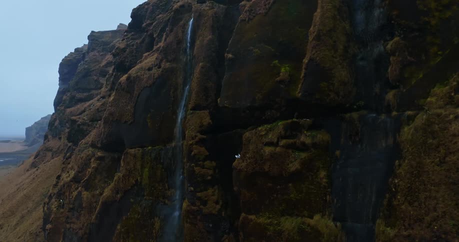 Shot of a rock face cliff and birds