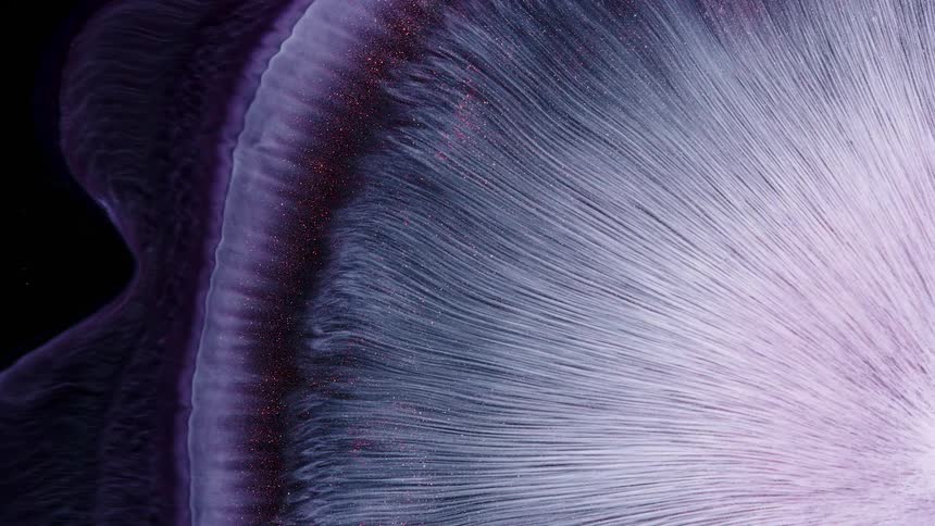 Corner of starburst pattern in shades of purple blooms