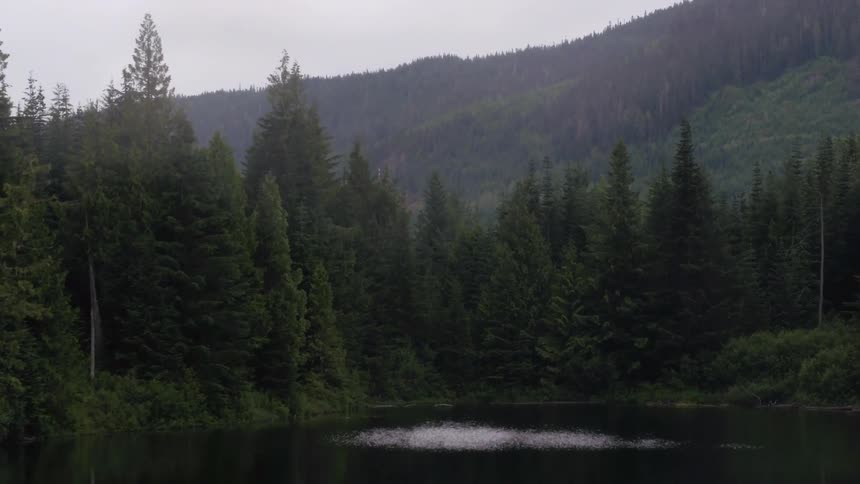 Aerial view of a lake then moving forward and hovering over a forest