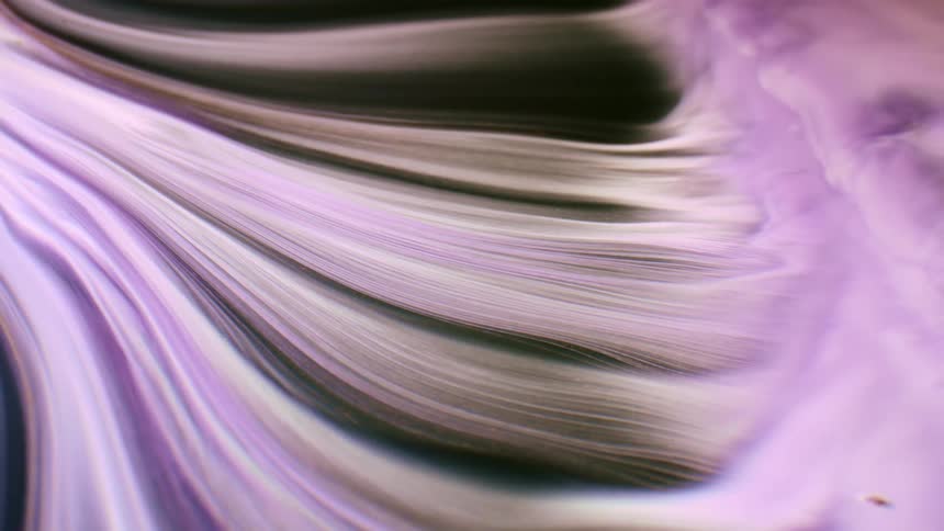 Abstract ribbons of purple black and white flow and blend