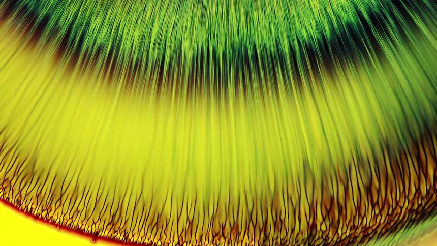 Yellow green black and red colors move like liquids
