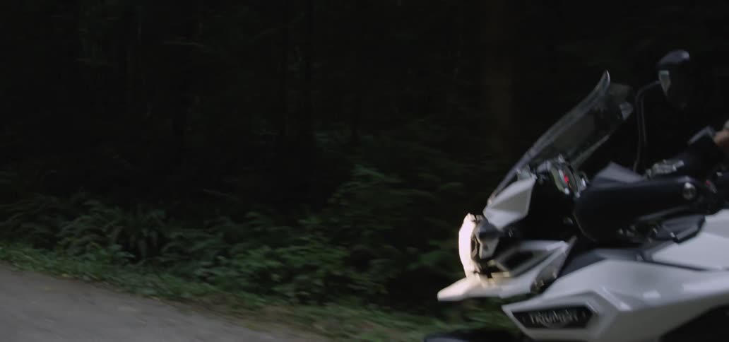 A motorcyclist rides in a wooded area