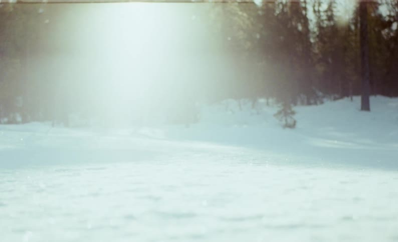 A gust of wind drops snow on the ground in the forest