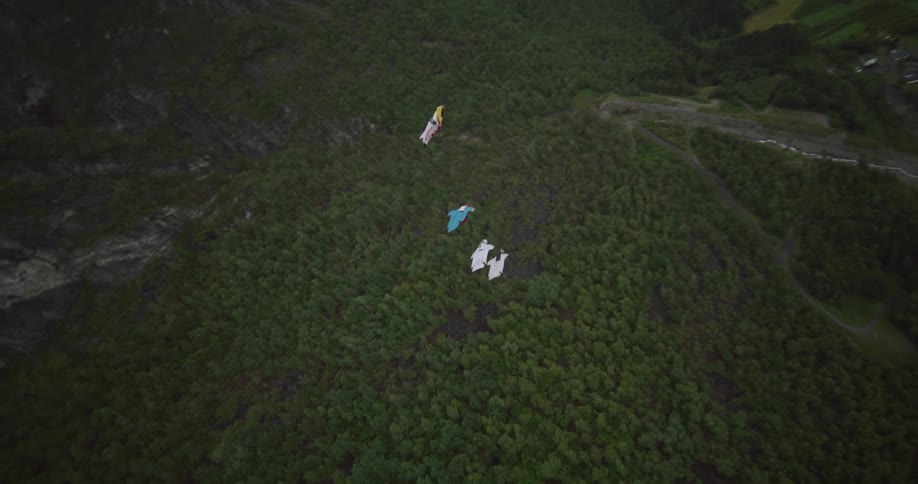 A group of people wearing wing suits fly over a canyon