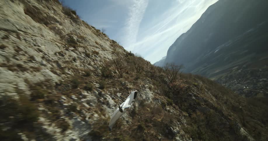 A person jumps off a cliff and flies over a canyon in wing suit