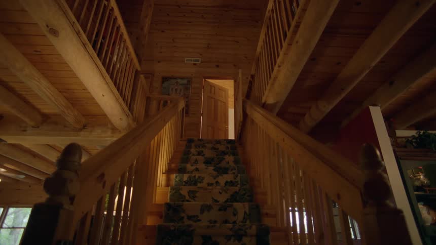 A carpeted wooden staircase in a house