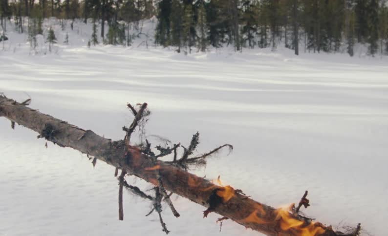A pine tree trunk burning on snow