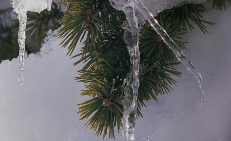 Water dropping from the icicles of snow power