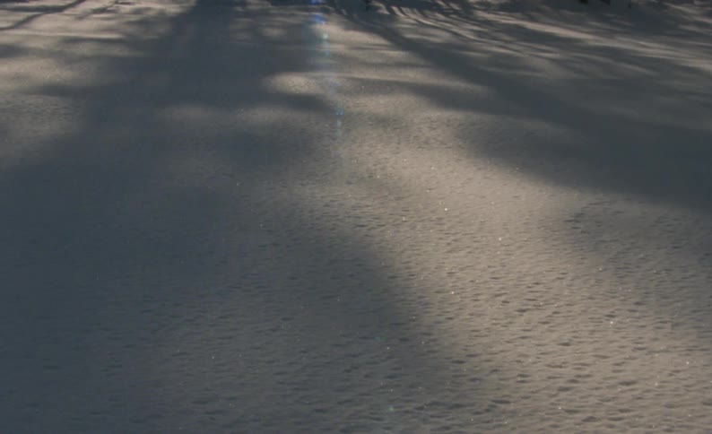 View of a flat sandy area covered in shadows