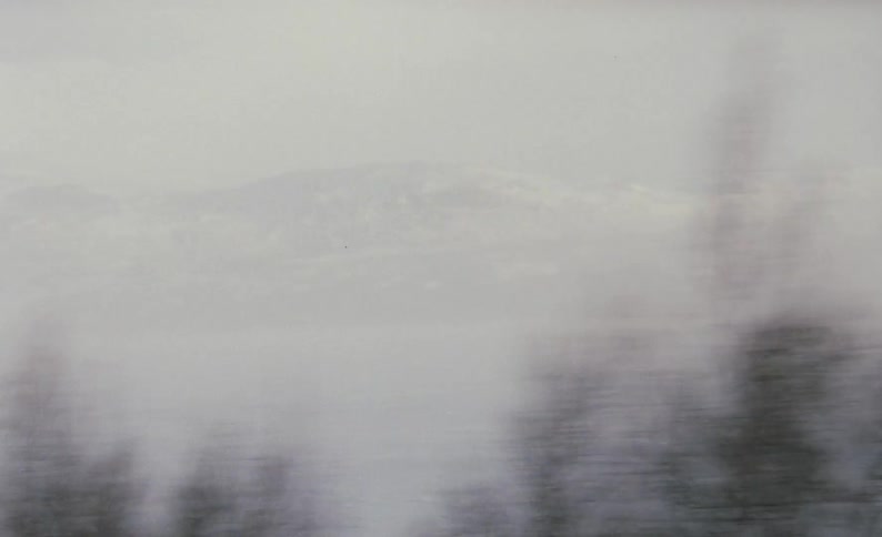 A fast view of trees going by and mountains in the distance