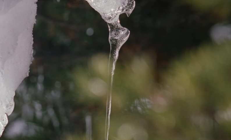 Sunlight shines on an icicle as trees in the distance move in the breeze