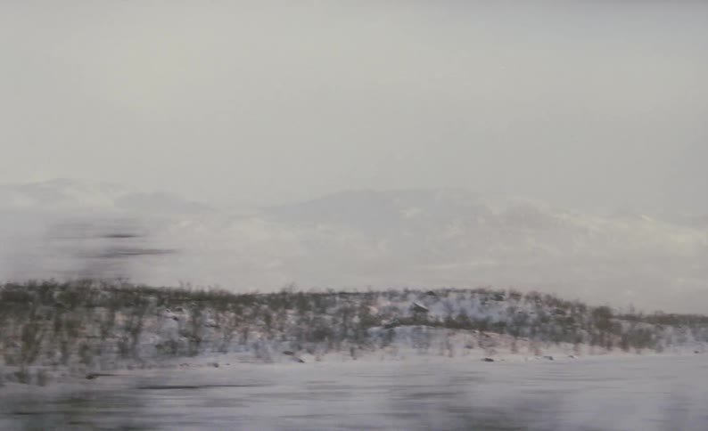 A shot of a forest taken from a moving object