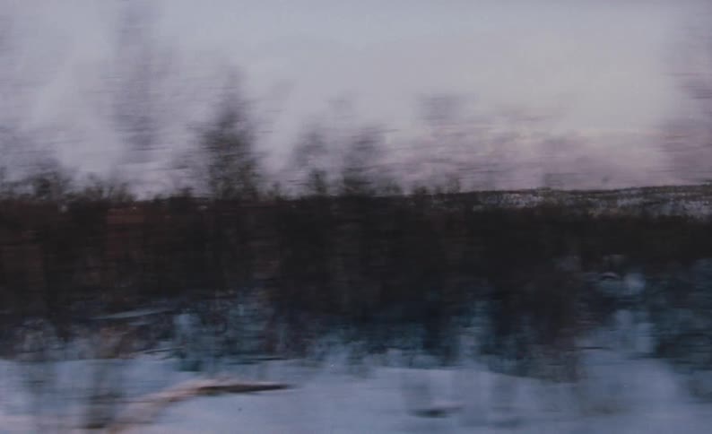 Bare trees and snow covering a landscape in winter