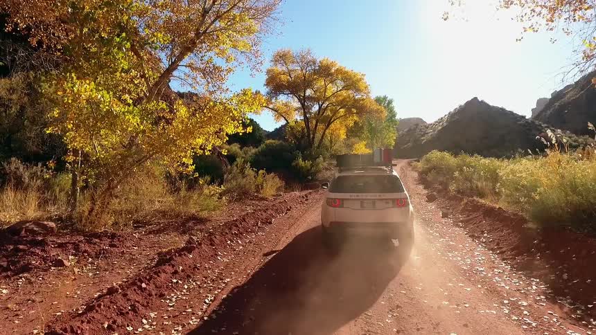 A car drives down a tree lined dirt road