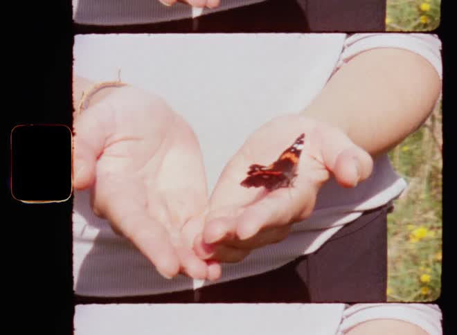 Close up of the palm of the hands of a white woman wearing a light pink top opening up and revealing a colourful butterfly who walks up her hand in a field of flowers on Super-8 mm film
