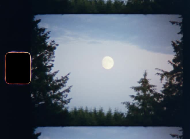 Looking up onto the bright full moon in early evening sky seen through clearing in the woods or forest between the tree tops of conifers on old Super 8mm film with retro film burn
