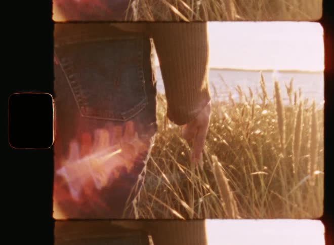Vintage Super 8 close-up of young woman wearing jeans walking through field of grass by the sea or lake touching and grabbing cattails and vegetation with her hand and fingers as the sun sets at the beach with retro hipster vibes