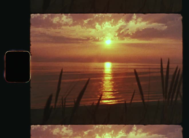 Beautiful Ws of the beach with sun setting over calm ocean with bright reflection on the water and plants or coastal grass in the foreground during a stunning sunset by the ocean on vintage Super 8 film