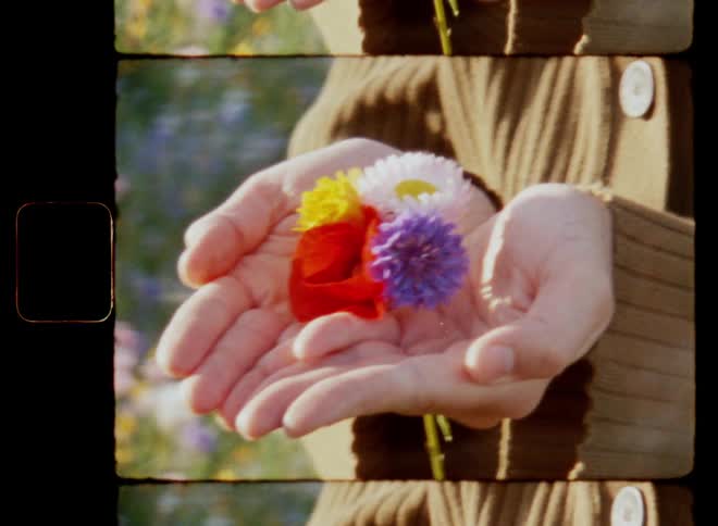 Young woman wearing a green cardigan holding a colourful bouquet of wildflowers and as she opens the palms of her hands the flowers are revealed to the warm sun shining on a beautiful spring morning on Super-8 mm film