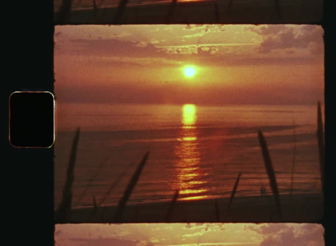 Sun setting in the orange and red sky reflecting off the ocean with sea waves rolling in at the beach as a seagull flies by at the colorful horizon during summer with vintage holiday vibes