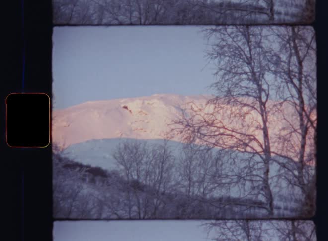 The warming morning sun shines onto the snowy and snow-covered hills or peaks or tops of an alpine mountain range glowing in orange light behind forest with bare trees in the foreground during freezing cold and harsh winter day in January or February