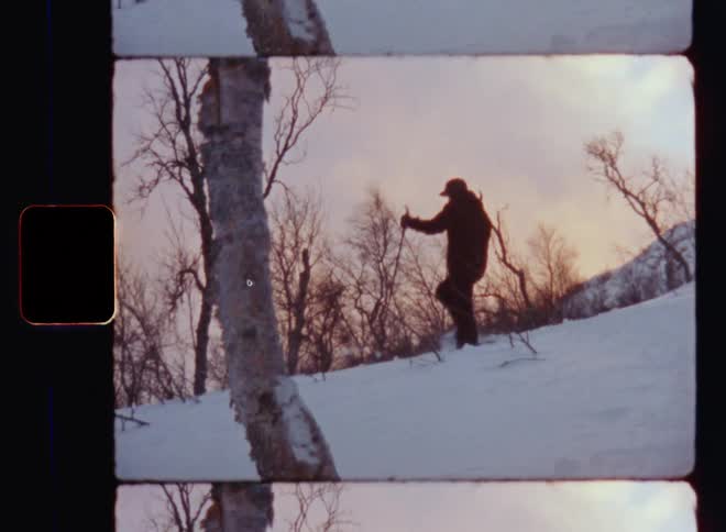 Silhouette of a man wearing outdoor clothes and warm hat snowshoeing downhill with poles or ski sticks on snowy hillside slope surrounded by bare birch trees during sunset on a freezing cold winter day in evening light on his way home from the mountains