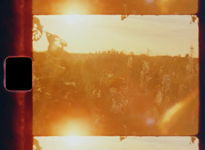 A grassy field with plants and bushes that are moving in the wind or breeze as the early morning sun rises at the horizon and shines into the vintage Super 8mm camera causing bright lens flare and an orange glowing sky