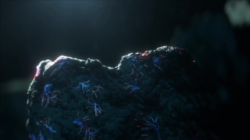 Trails of fungus are growing on a strange rock