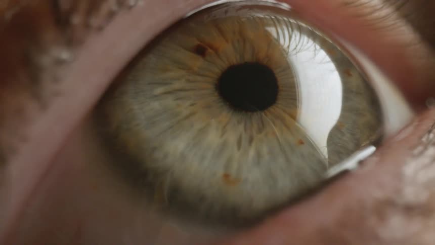 A very close up view of a person opening their hazel colored eye and the pupil moving