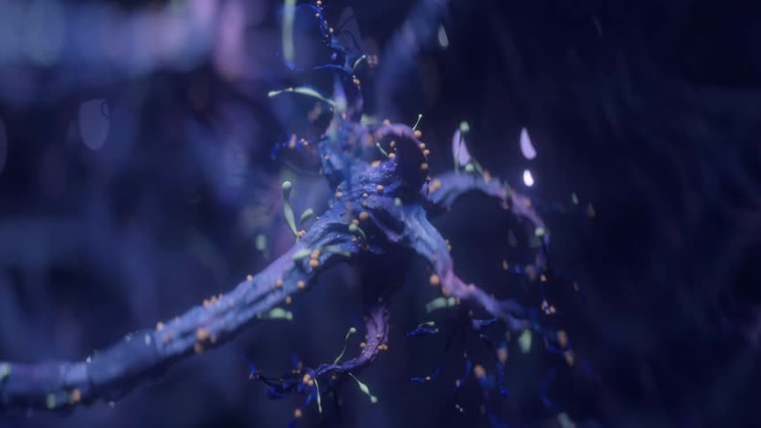 Close up view of a neuron inside the human brain with synapses firing