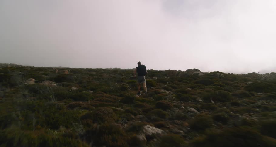 A man is jogging through the wilderness at dusk