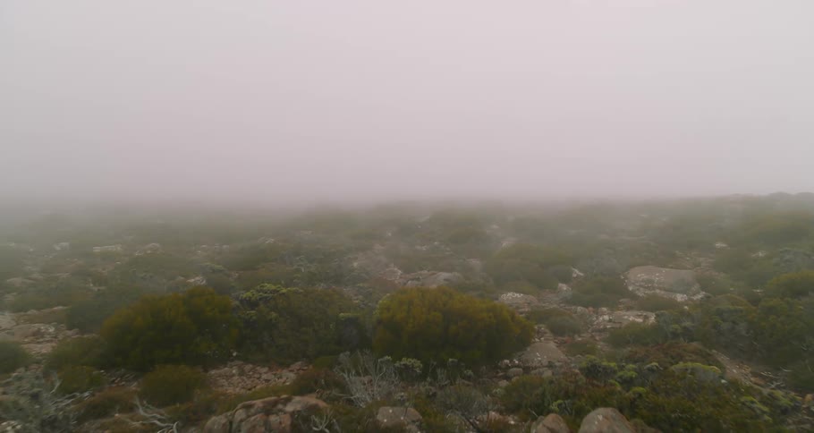 The view is of the nature area in the middle of the day time