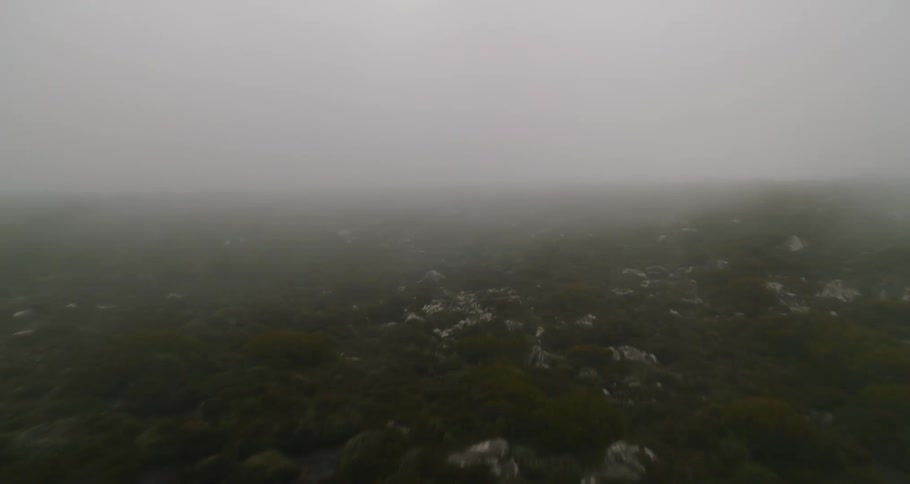 Aerial view of green field in fog